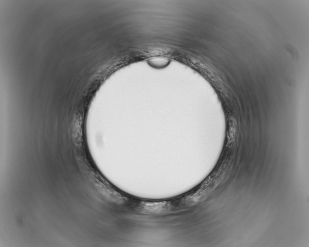 X0000110720461200907241210