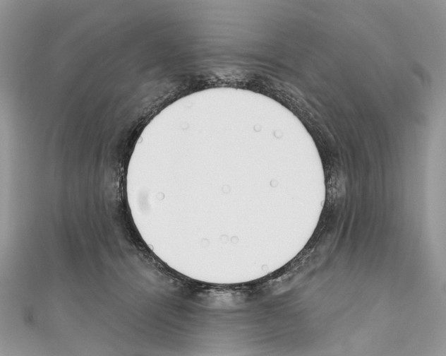 X0000110720464200907241210