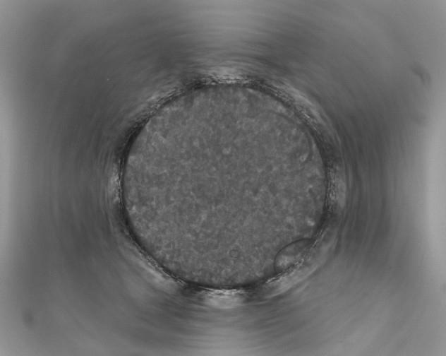 X0000110720465200907241210