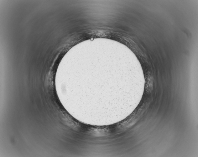 X0000110720466200907241210