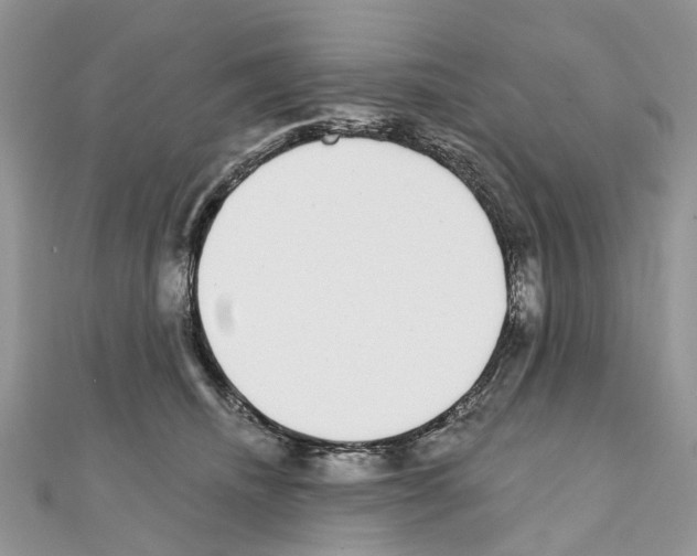 X0000110720468200907241210