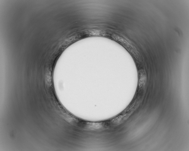 X0000110720469200907241210