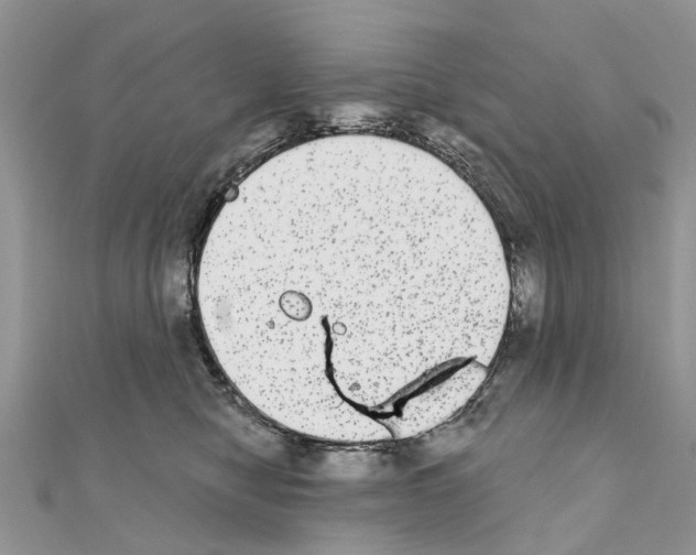 X0000110720470200907241210