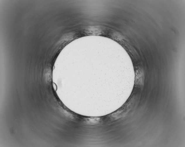 X0000110720474200907241210