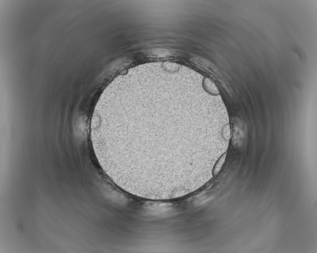 X0000110720476200907241210