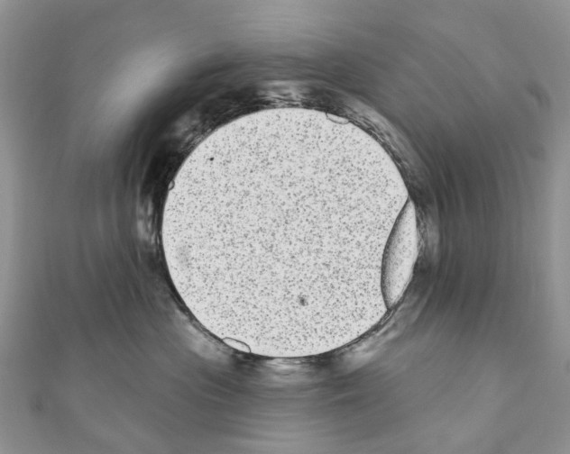 X0000110720477200907241210