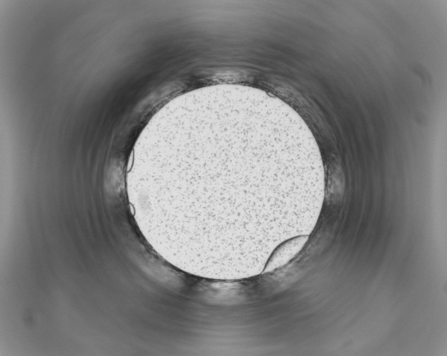 X0000110720478200907241210