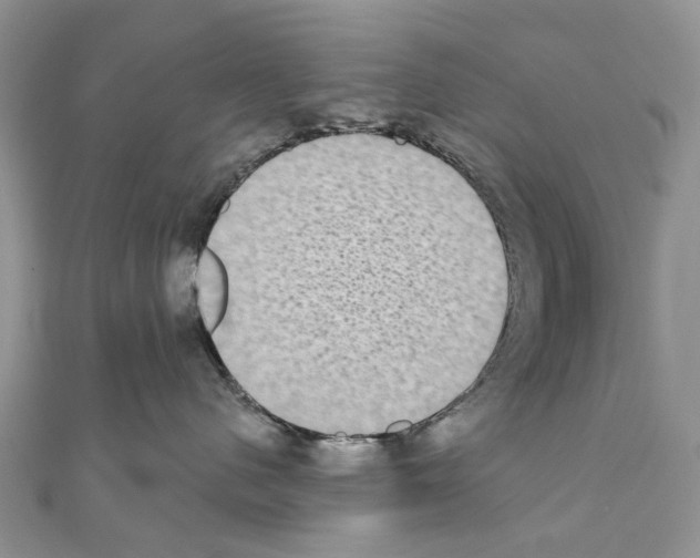 X0000110720480200907241210