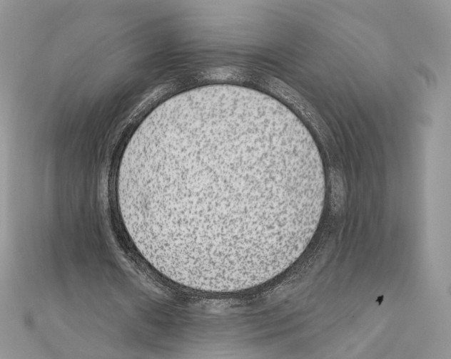 X0000110720482200907241210