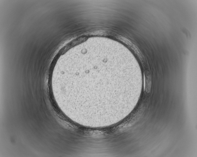 X0000110720483200907241210