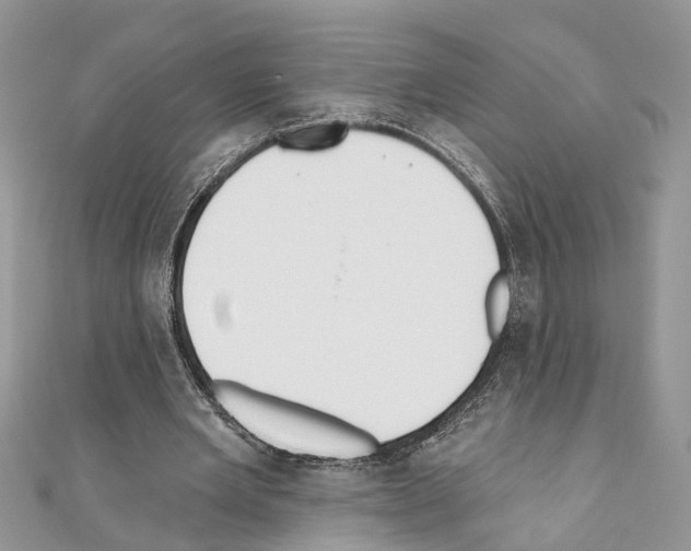 X0000110720485200907241210