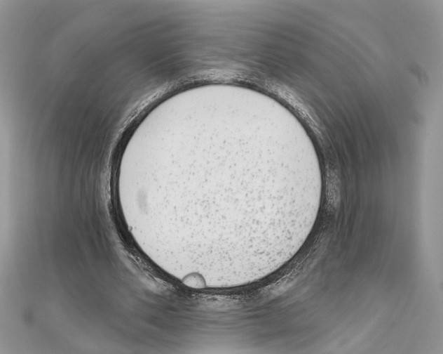 X0000110720486200907241210