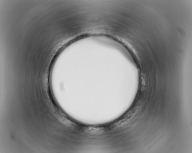 X0000110720487200907241210