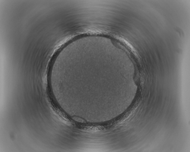 X0000110720488200907241210