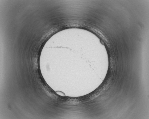 X0000110720489200907241210