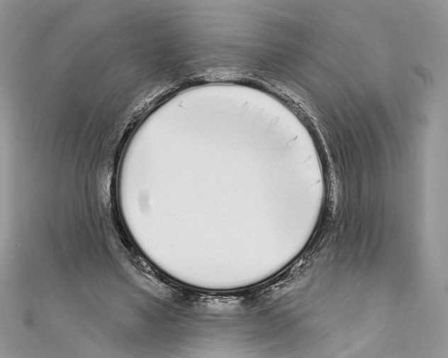 X0000110720491200907241210