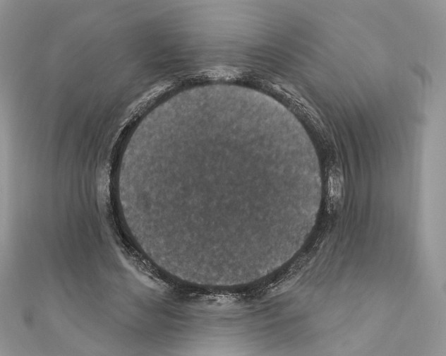 X0000110720492200907241210