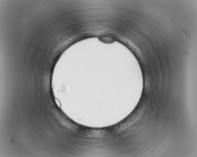 X0000110720493200907241210