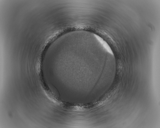 X0000110720496200907241210