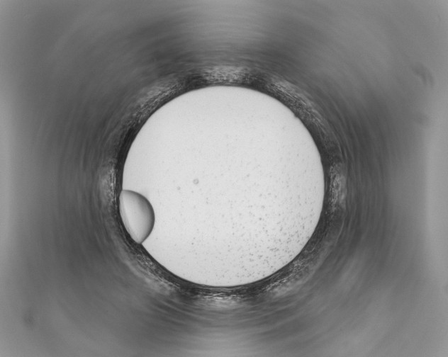 X0000110720498200907241210