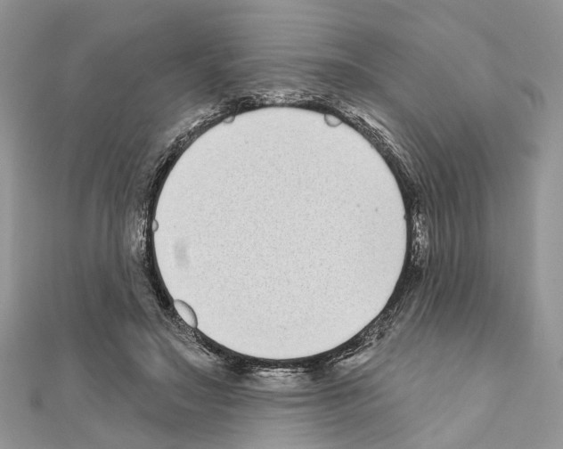 X0000110720499200907241210