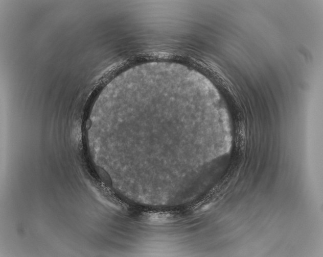 X0000110720500200907241210