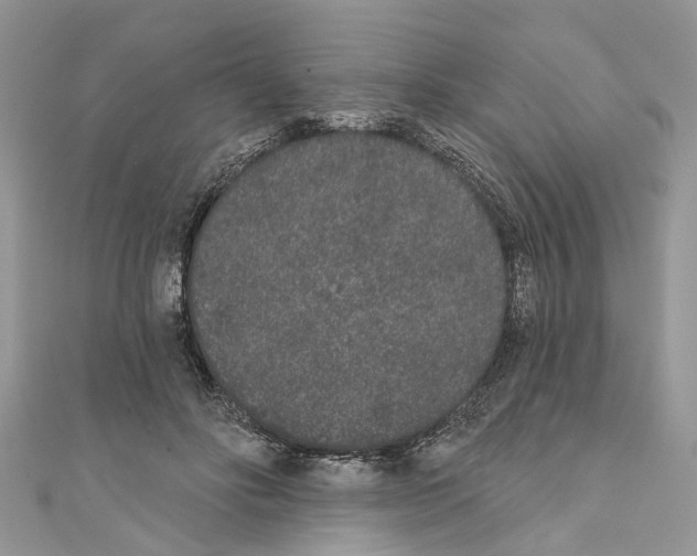 X0000110720502200907241210