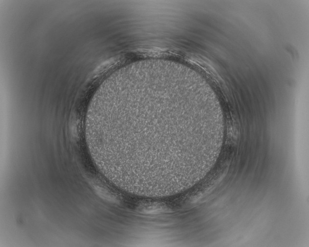 X0000110720503200907241210