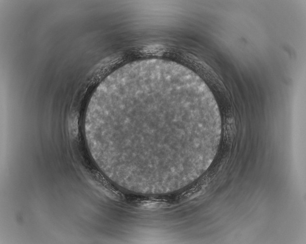 X0000110720504200907241210