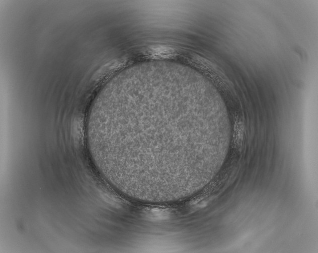 X0000110720506200907241210