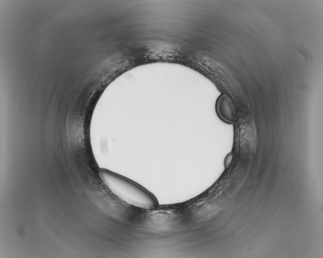 X0000110720508200907241209