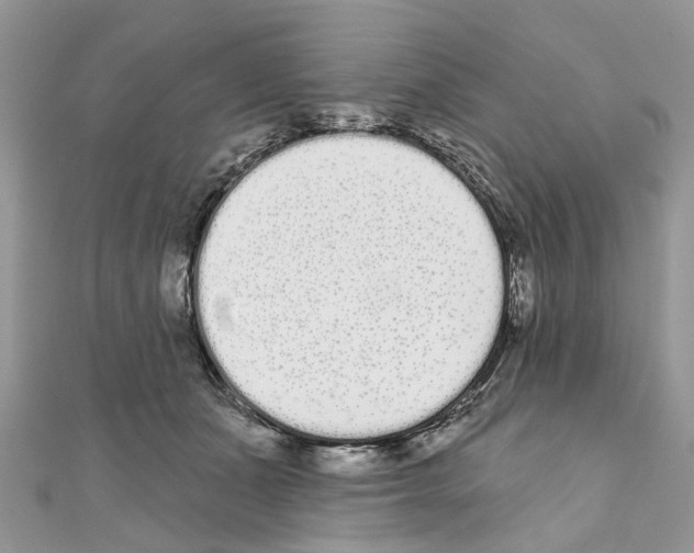 X0000110720511200907241209