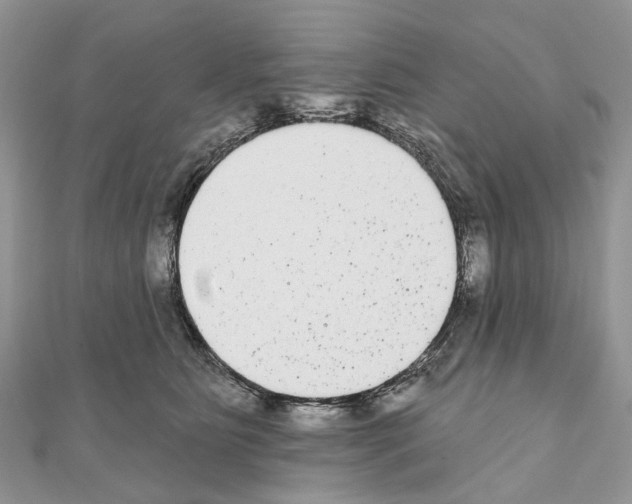 X0000110720515200907241209