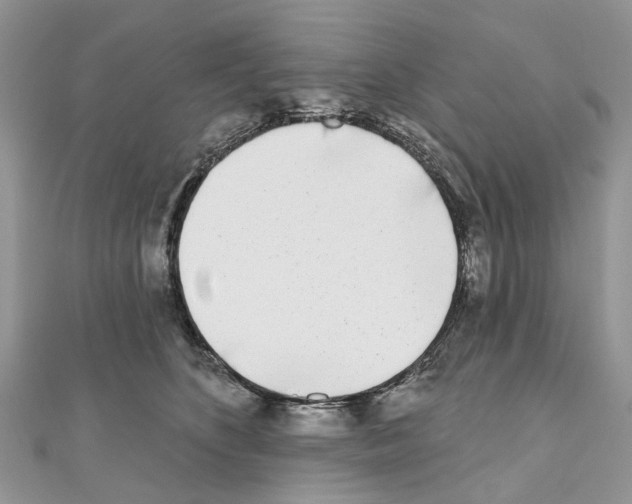 X0000110720516200907241209