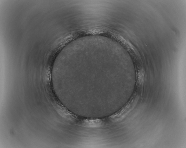 X0000110720517200907241209