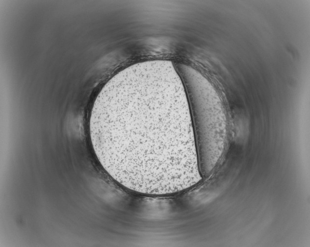 X0000110720520200907241209