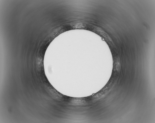 X0000110720521200907241209