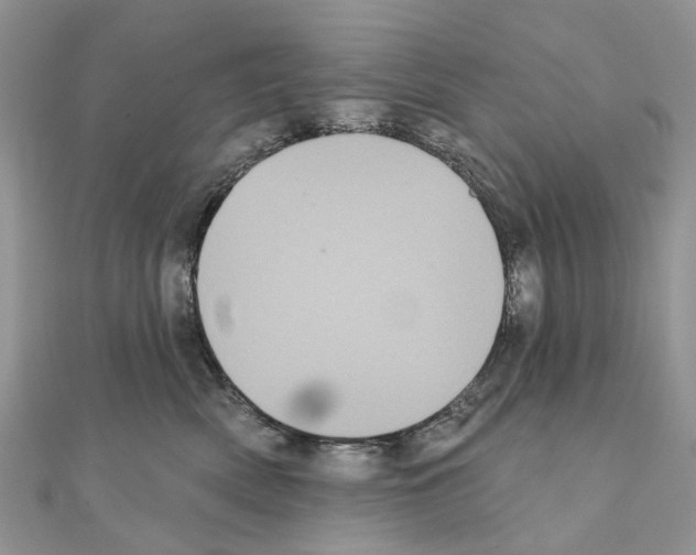 X0000110720522200907241209