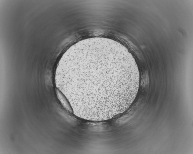 X0000110720524200907241209