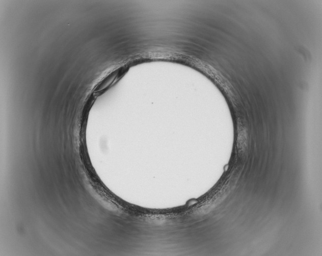 X0000110720530200907241209