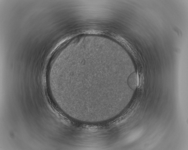 X0000110720531200907241209