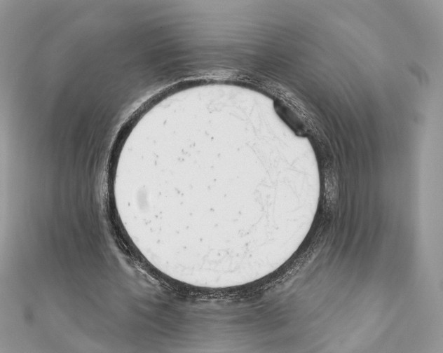 X0000110720532200907241209