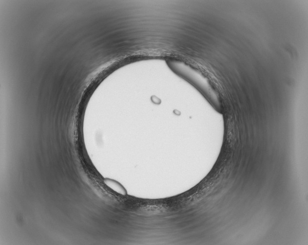 X0000110720536200907241209