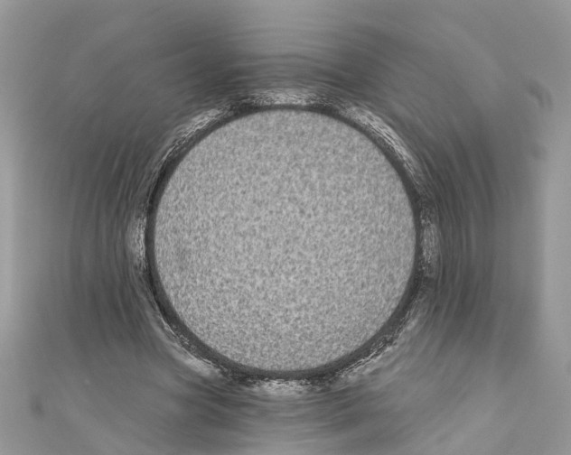 X0000110720537200907241209