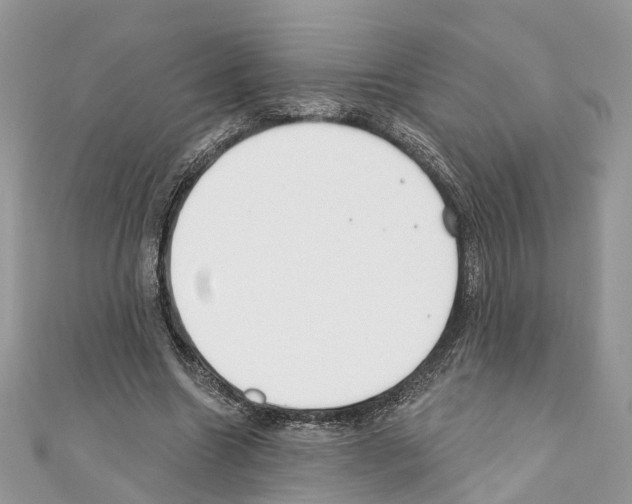 X0000110720538200907241209