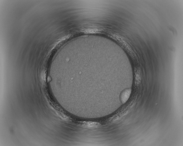 X0000110720539200907241209