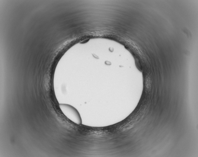 X0000110720540200907241209