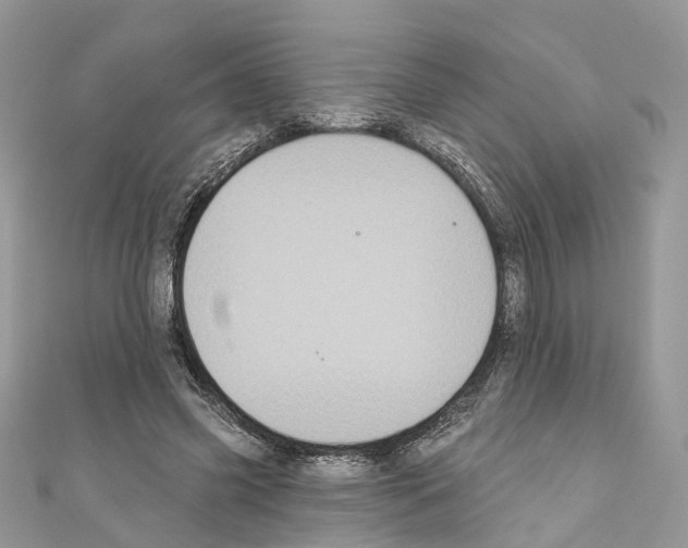 X0000110720541200907241209