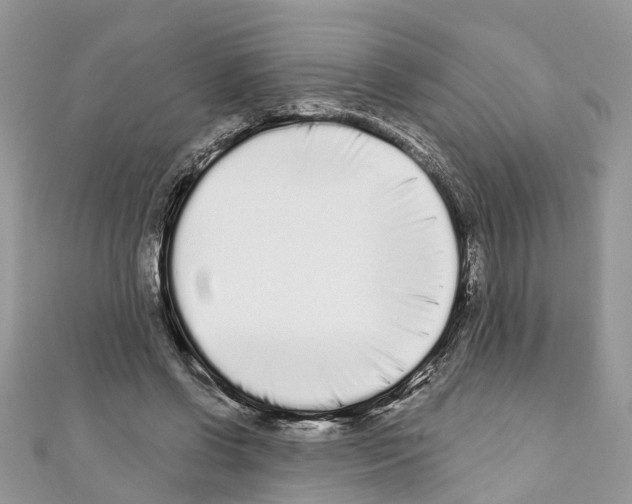 X0000110720542200907241209