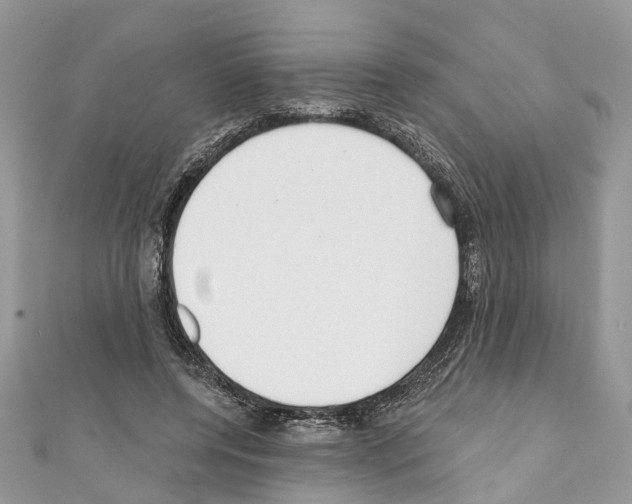 X0000110720544200907241209